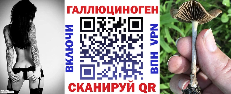Псилоцибиновые грибы ЛСД  блэк спрут зеркало  Ногинск  закладка 