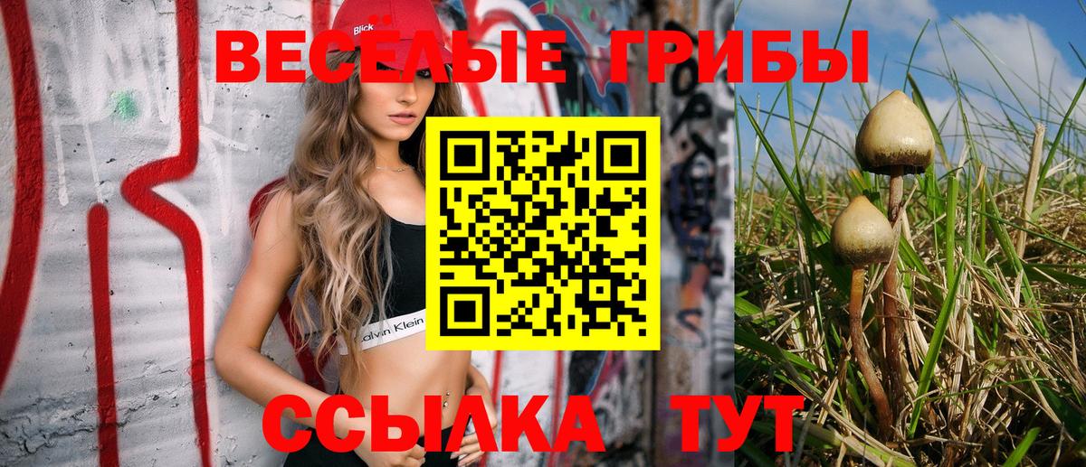Псилоцибиновые грибы Cubensis Ногинск