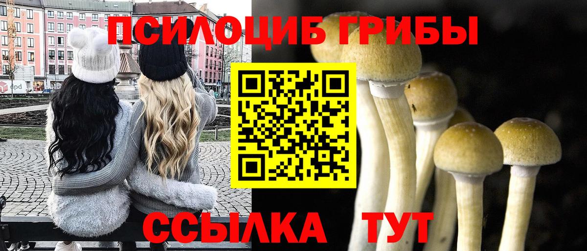 ГАШИШ  ГАШ  Вход с VPN  Марихуана  МДМА  Ногинск  ЭКСТАЗИ  Кодеин  Меф МЯУ МЯУ  Меф МЯУ МЯУ кристаллы 