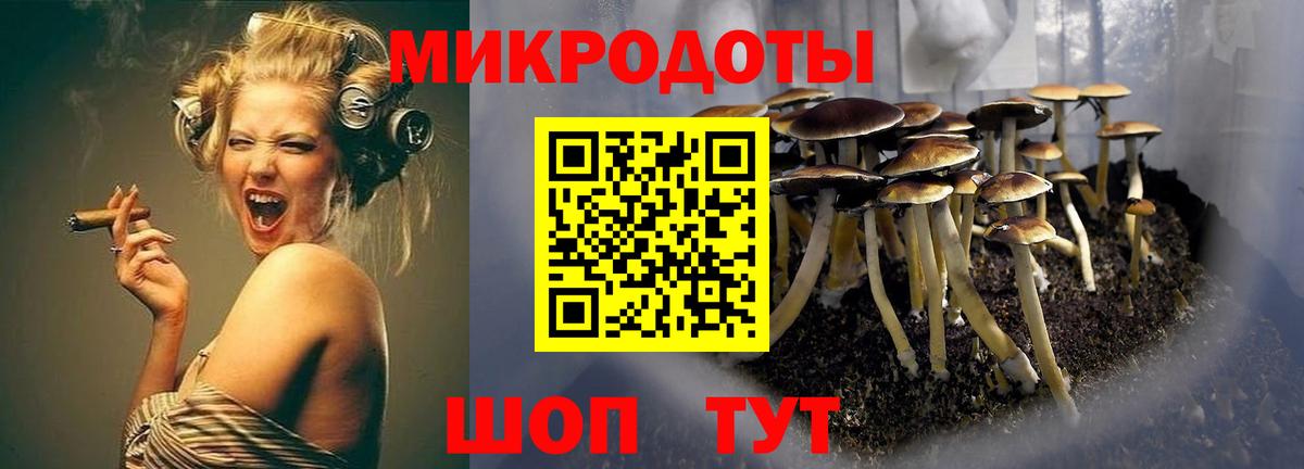 Псилоцибиновые грибы Psilocybe  Вход с VPN  Ногинск 