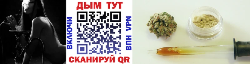 omg как войти  где можно купить   дарк нет как зайти  Каннабис план  Ногинск 